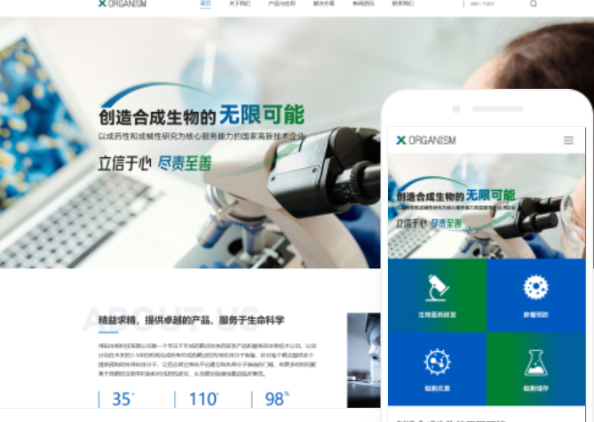 成都網站建設方案